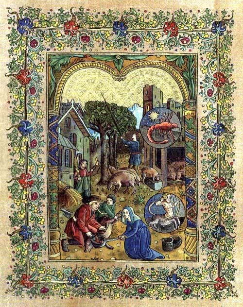 Le mois de novembe du calendrier des bergers - Enluminure de Pierrick Pinot